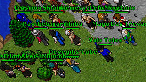 Devegilis'Cube on screen
