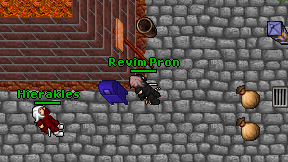 Revim Pron on screen
