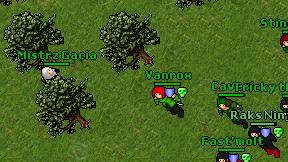 Mistrz Gacia on screen