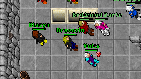 Bravozin on screen