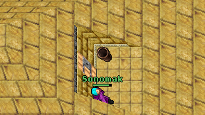 Sonomak on screen
