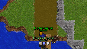 Cabongue on screen
