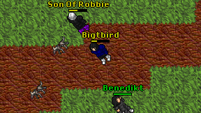 Bigtbird on screen
