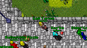 Gali Tarien on screen