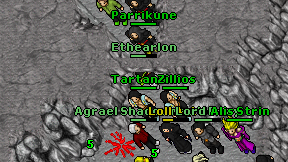 Aerl on screen