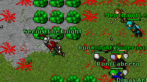 Serius The Knight on screen