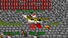 Xrayn on screen