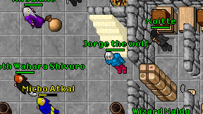 Jorge the wolf on screen