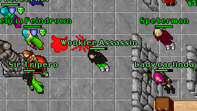 Wookiee Assassin on screen