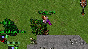 Lady Yol on screen