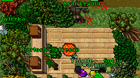 Freestylerka on screen
