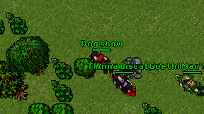 Dog show on screen