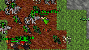 Acon Vewiffis on screen