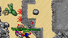 Navzenho on screen