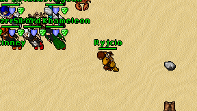 Ryjcio on screen