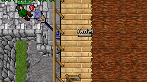 Aniel on screen
