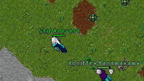 Stif Adevert on screen