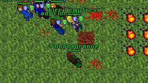 Nobbesgranne on screen