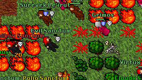 Evil Sanctum on screen