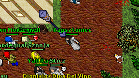 Kapsztoniec on screen