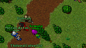 Szmula on screen