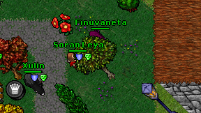 Finuvaneta on screen