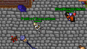 Palli of Execution on screen
