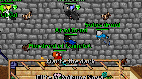Arad Grud on screen