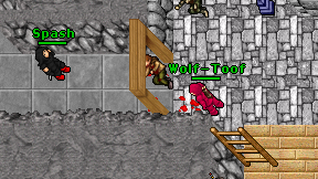 Wolf-Toof on screen