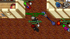 Mina'stirith on screen