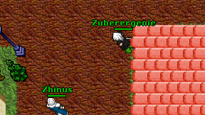 Zuberergenie on screen