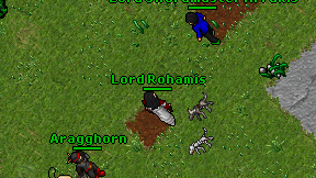 Lord Rohamis on screen