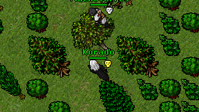 Korado on screen