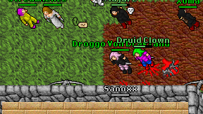 Druid Clown on screen