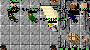 Fantasy Girl on screen