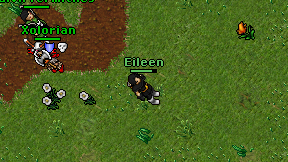 Eileen on screen