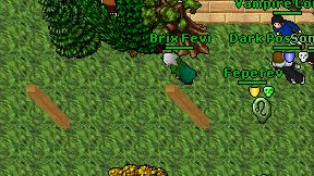 Brix Fevi on screen