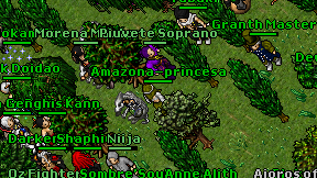 Amazona-princesa on screen