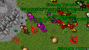 Numb Atwa on screen