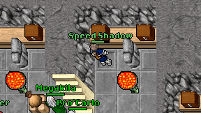 Speed Shadow on screen