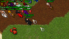 Pemuz on screen