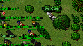 Kaylex on screen