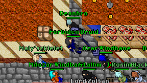 Forbiden Druid on screen