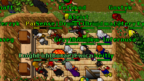 Grzybkowa on screen