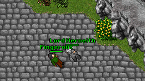 Lord Herneith on screen