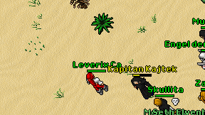 Leverix Ca on screen