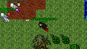 Satecobanos on screen