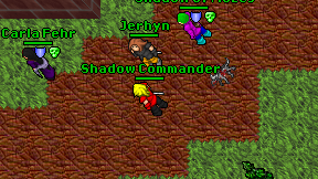 Shadow Commander on screen
