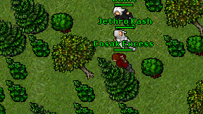 Cosak Excess on screen