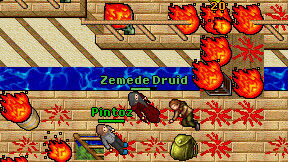 Zemede Druid on screen